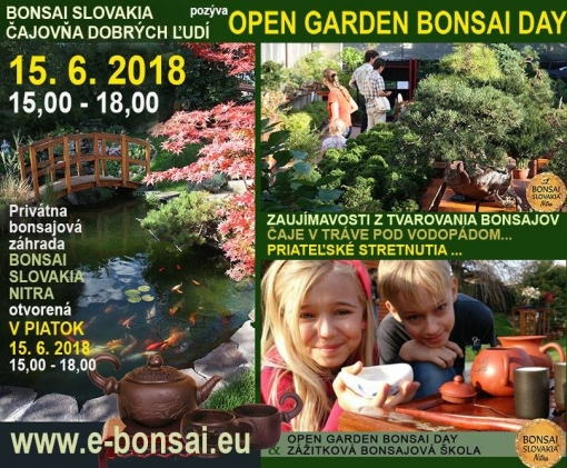 Open Garden BONSAI Day