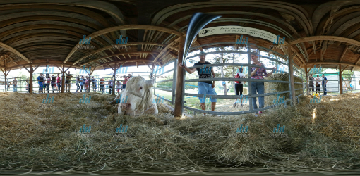 Agrokomplex 2016: pozrite si 360-stupňové fotografie