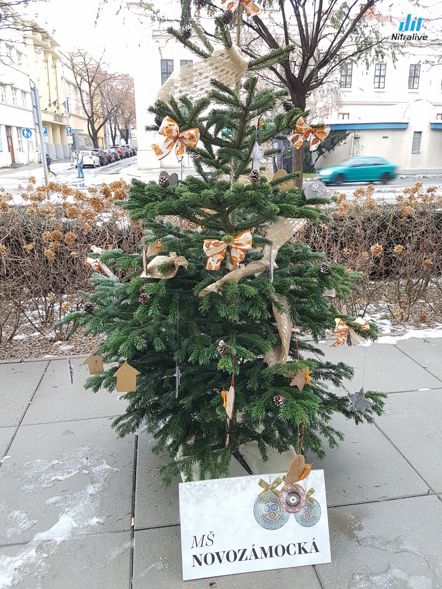 Deti z materských škôl v Nitre zdobili vianočné stromčeky, hlasujte za najkrajší