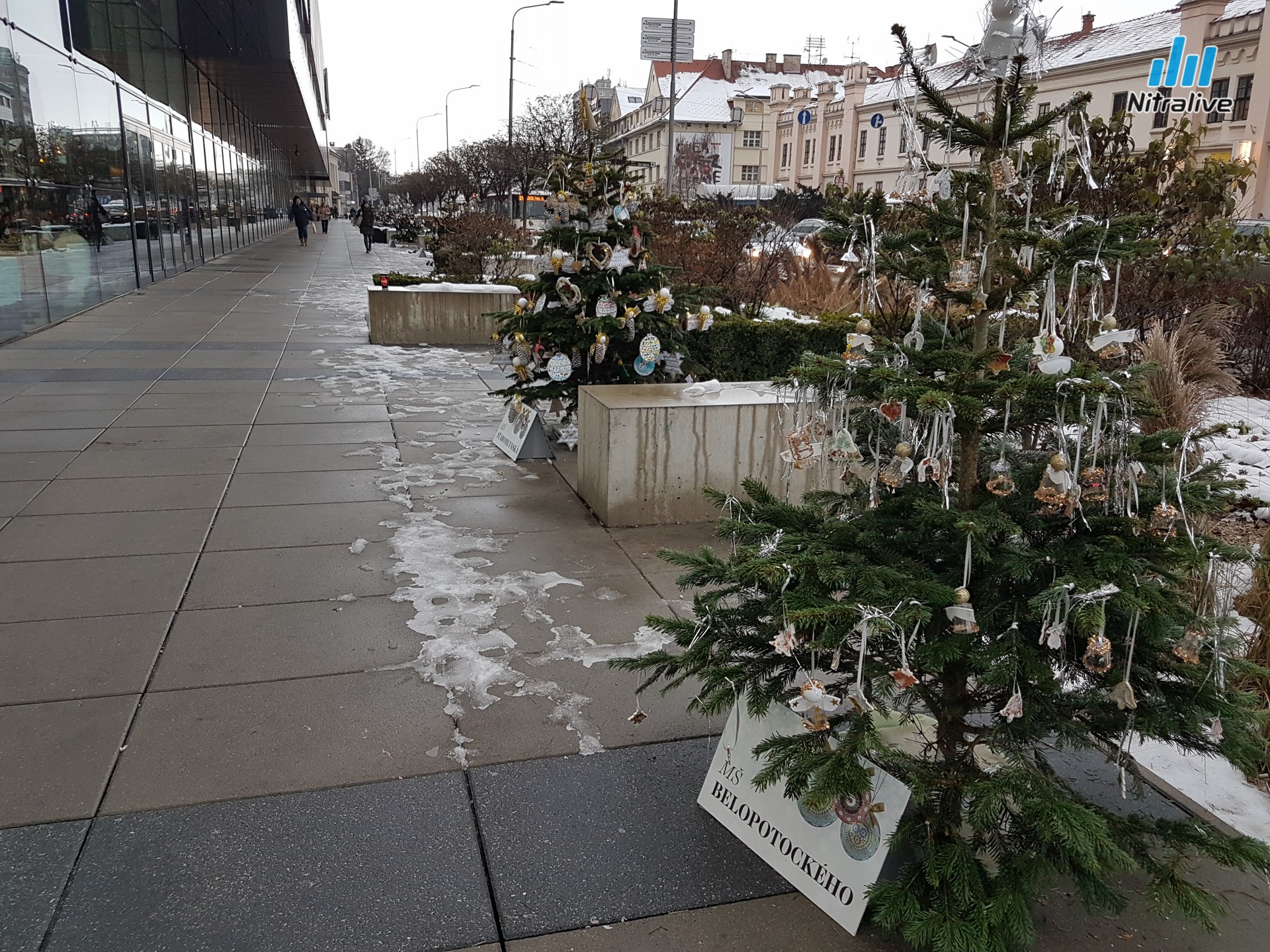 Deti z materských škôl v Nitre zdobili vianočné stromčeky, hlasujte za najkrajší