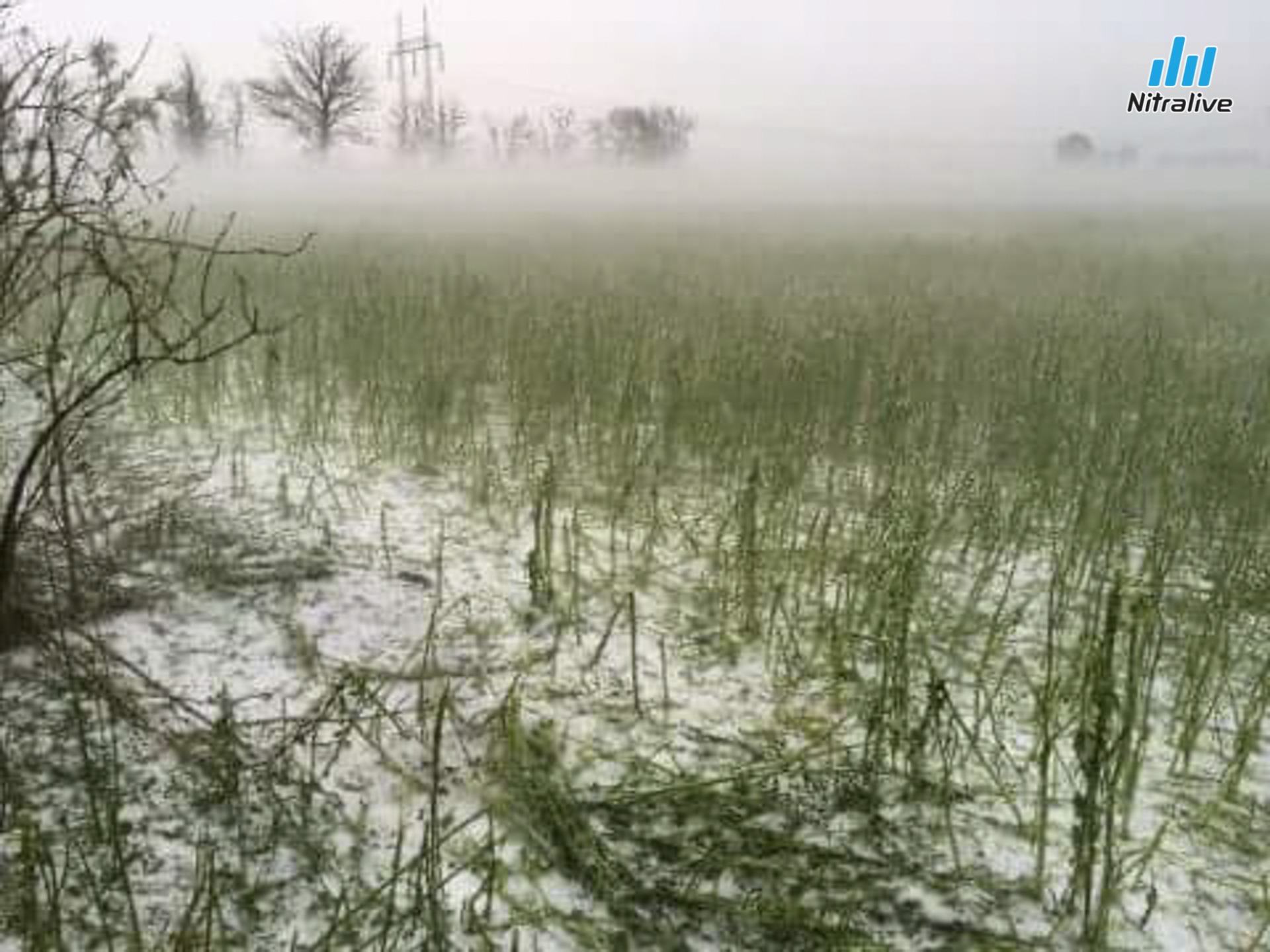 Cabaj - Pereš, ľadovec