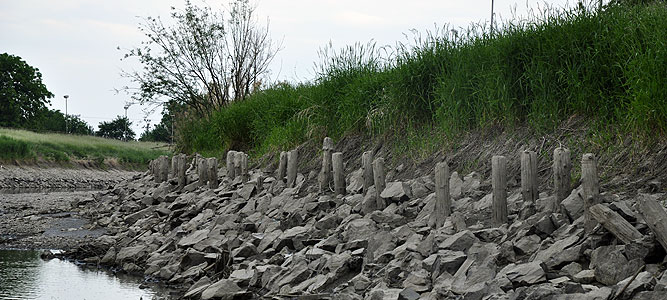 Nízky stav hladiny rieky Nitra - Mólo