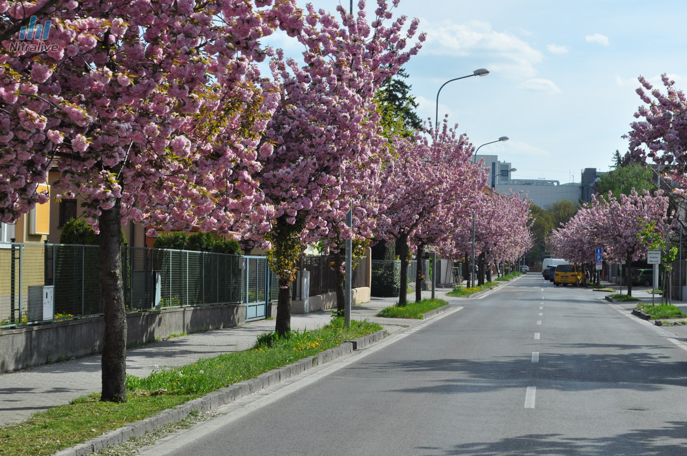 Jarná rozkvitnutá Nitra