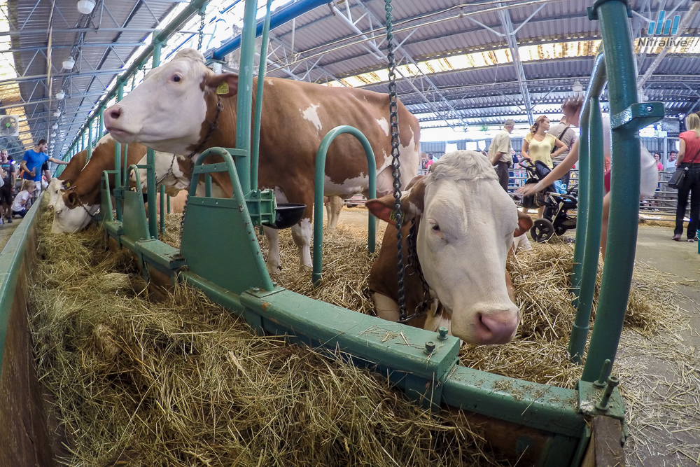 Agrokompelex 2015 - fotogaléria