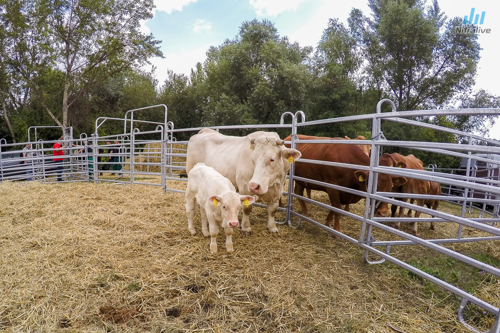 Agrokompelex 2015 - fotogaléria