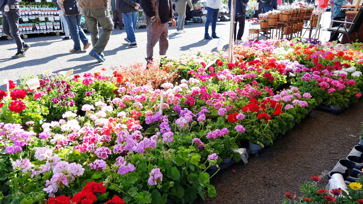 Nábytok a bývanie Nitra