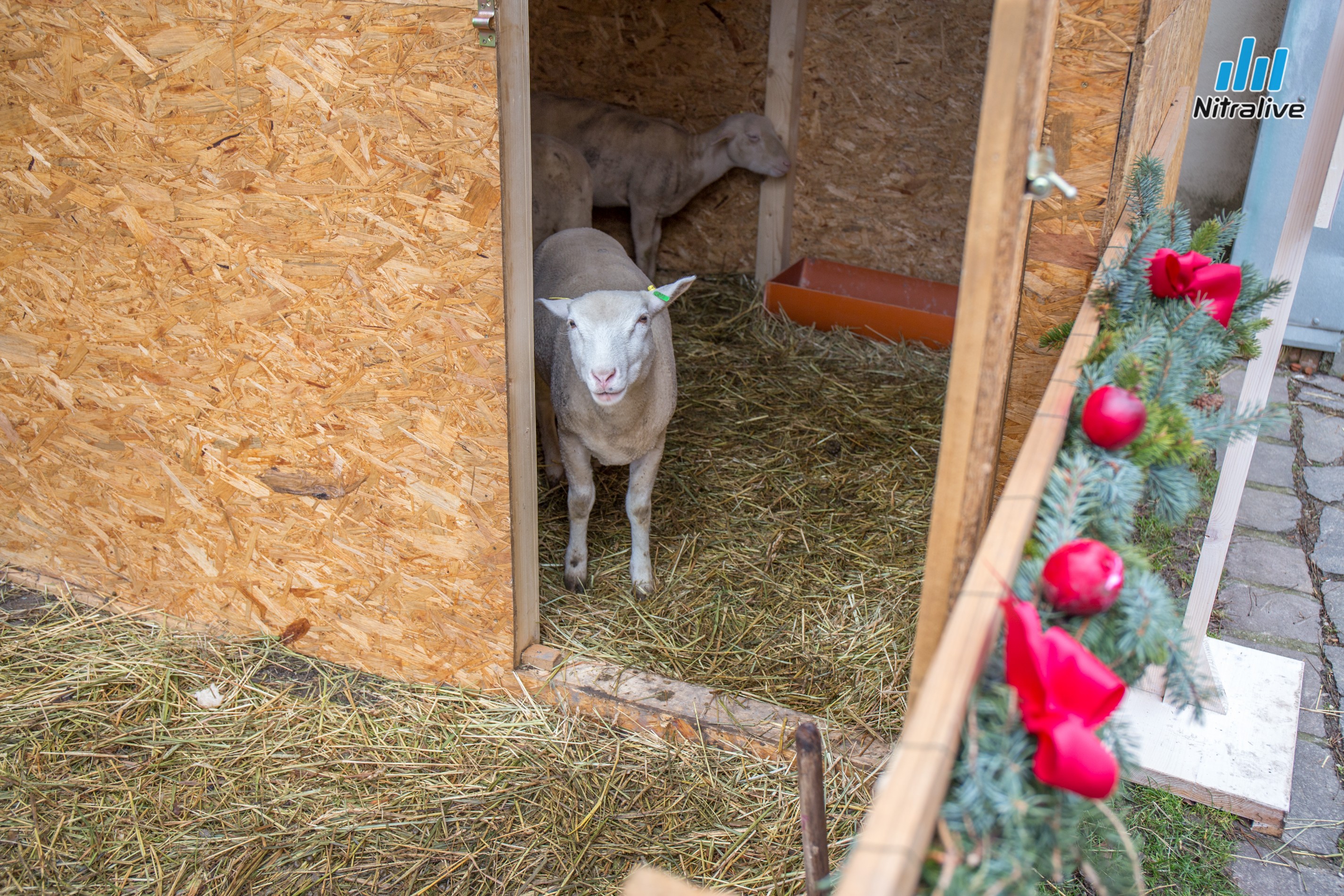 Advent na Nitrianskom hrade 2019: fotogaléria