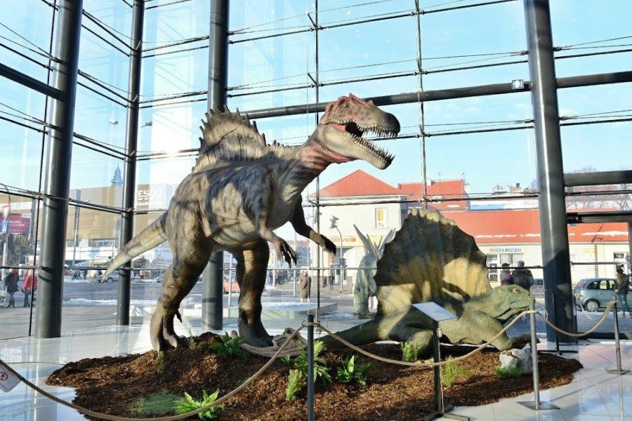 Výstava Svet dinosaurov v Galérii Mlyny