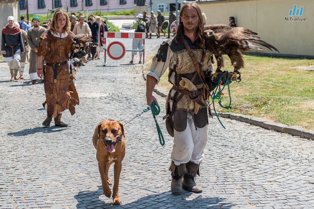 Pribinova Nitrawa 2015