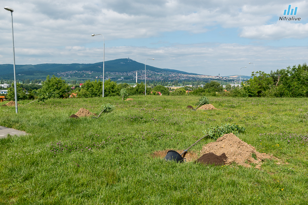 Family Fun Day Nitra 2015