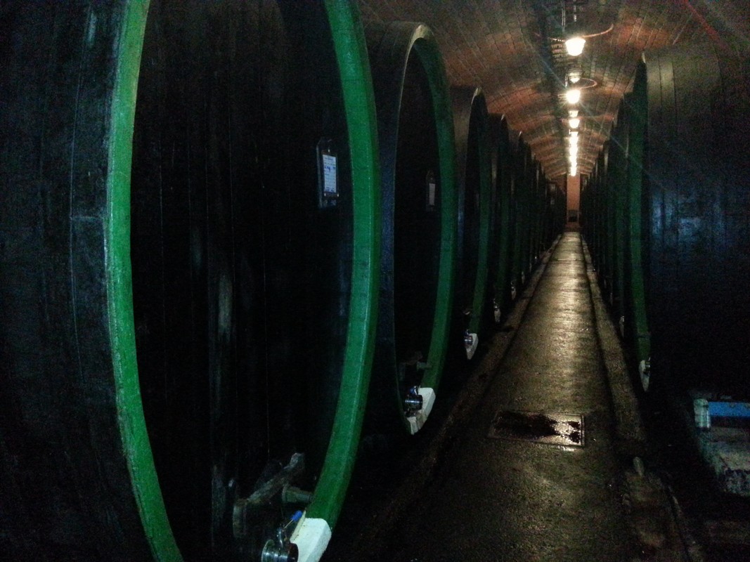 Chateau Topoľčianky pivnica