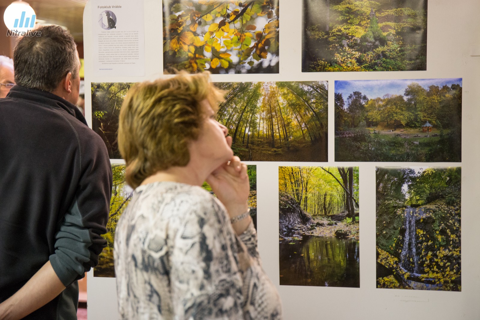 Vysoké hory Nitra 2015