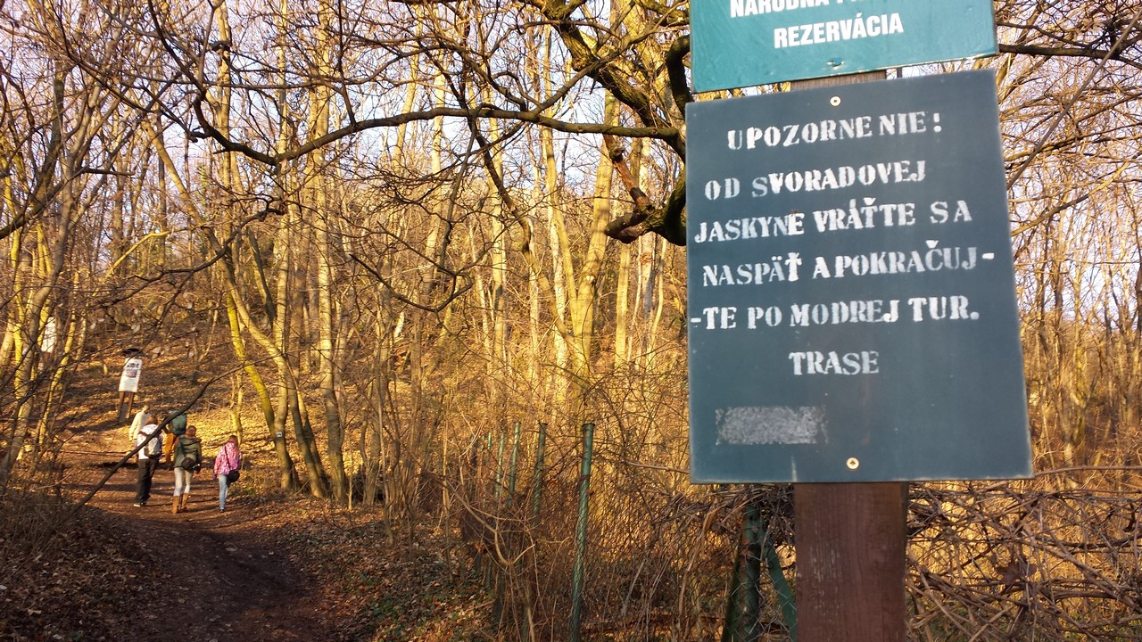Zoborská lesostep