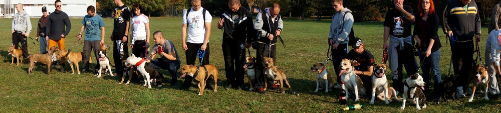 Bojové plemená Nitra