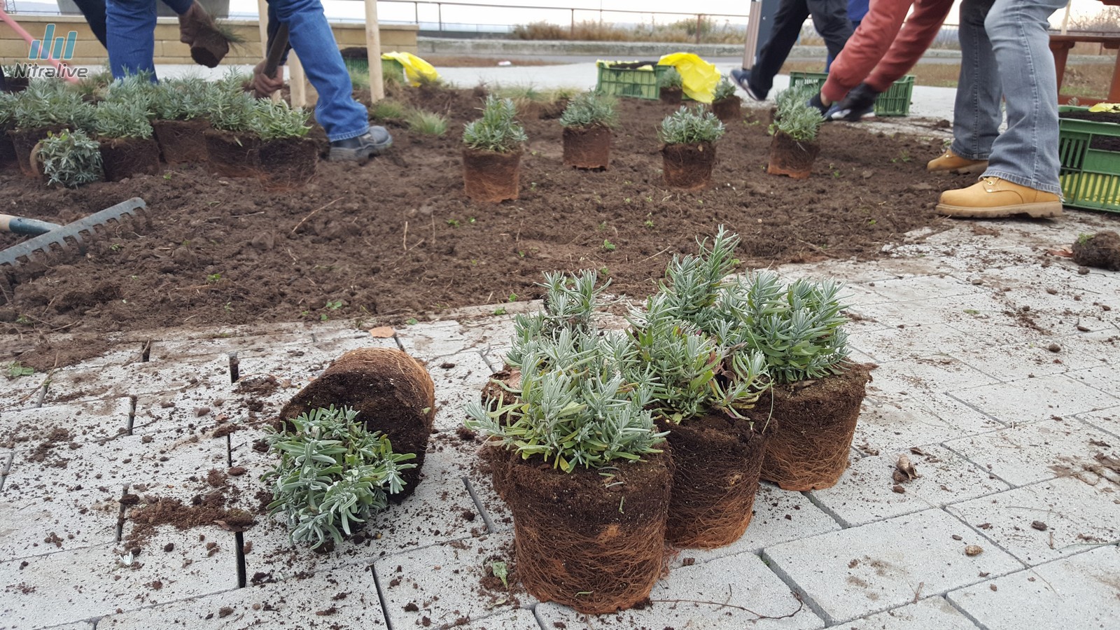 Odpočívadlo Priemyselná ulica Nitra