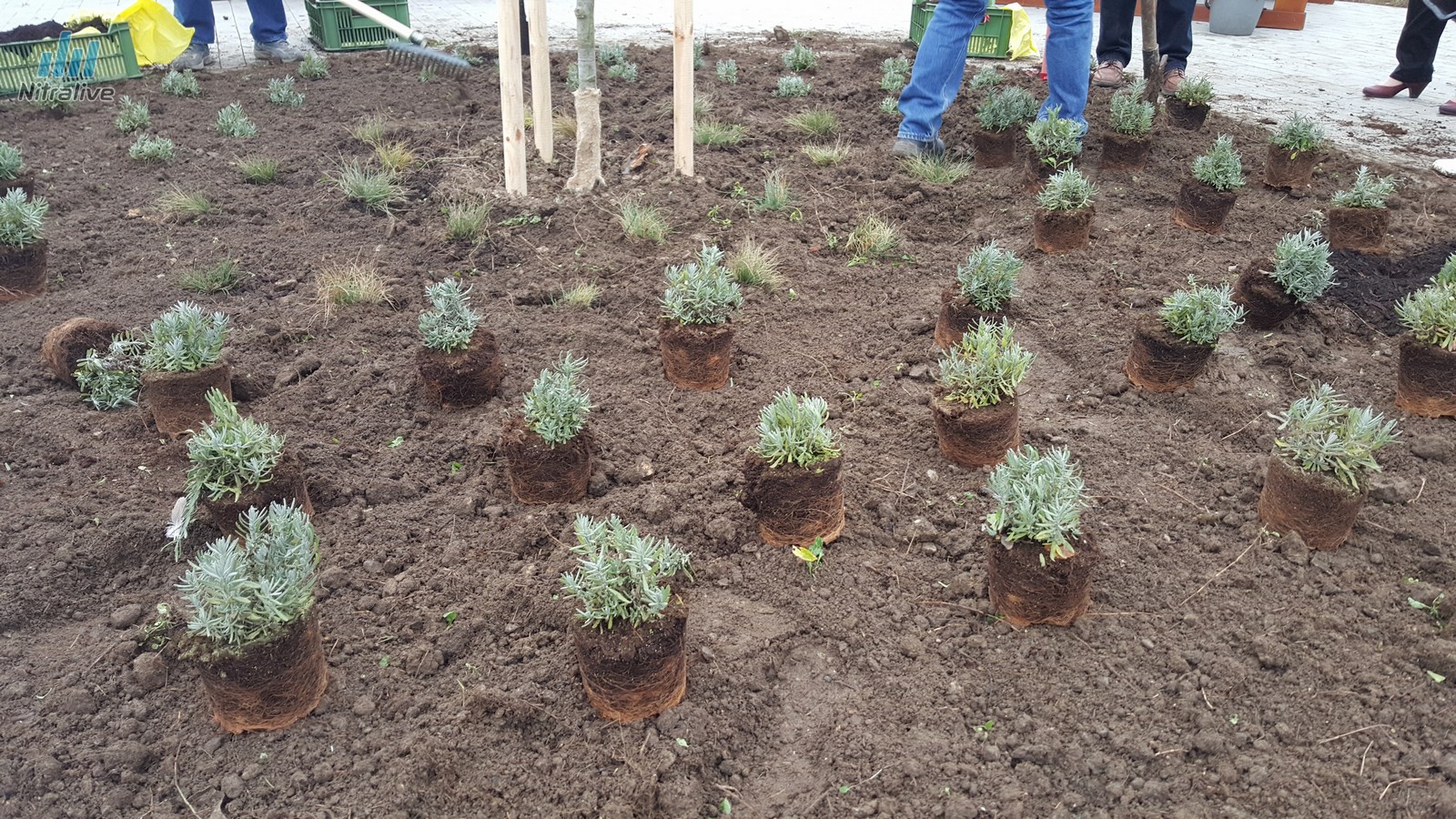 Odpočívadlo Priemyselná ulica Nitra