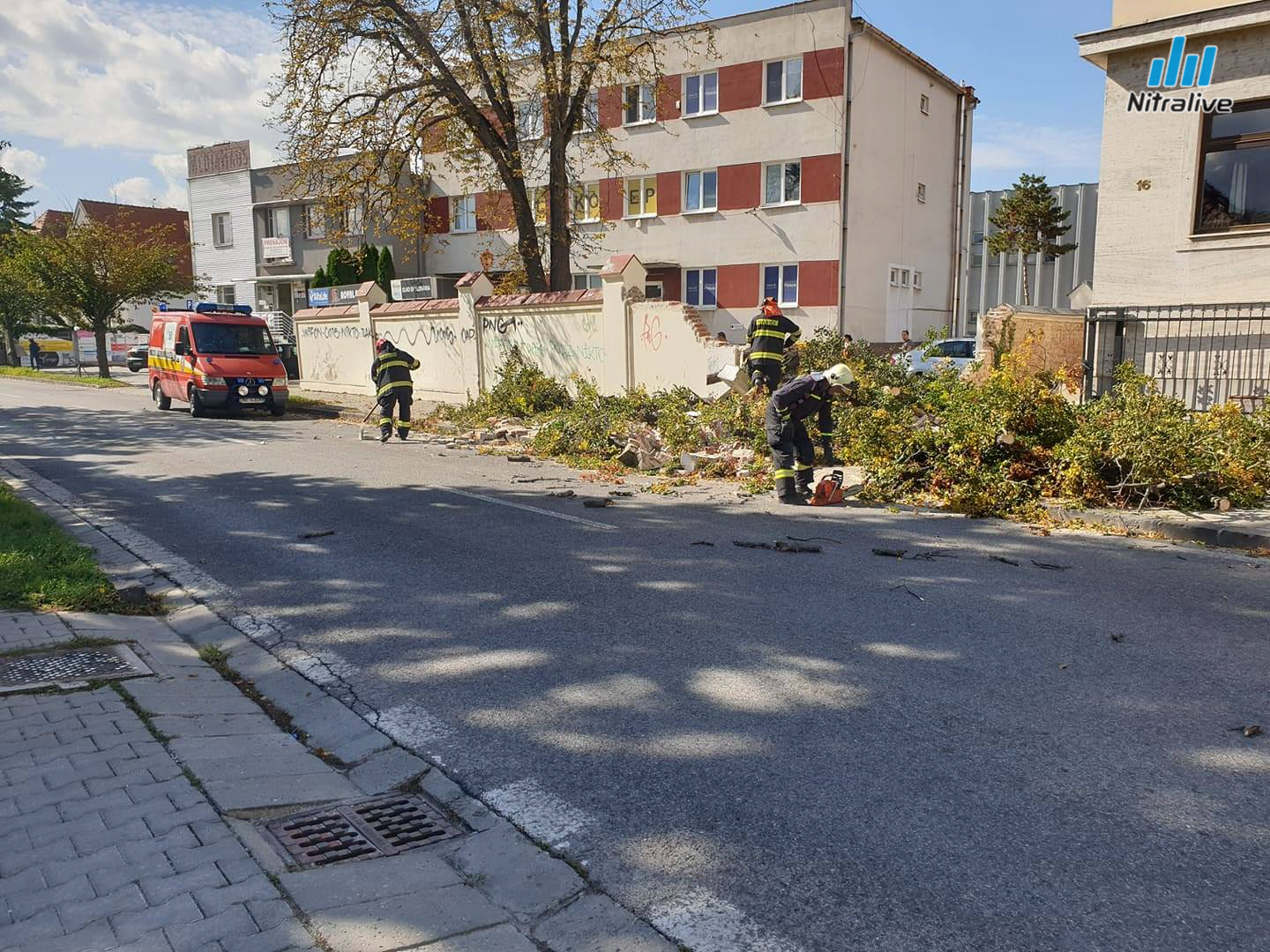 Vietor stromy Nitra