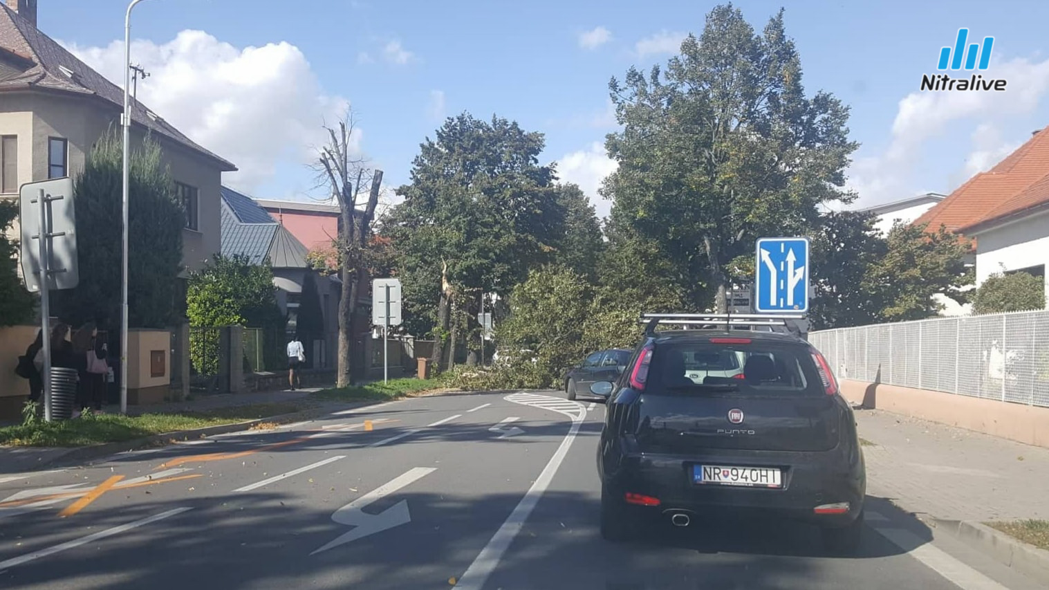 Vietor stromy Nitra