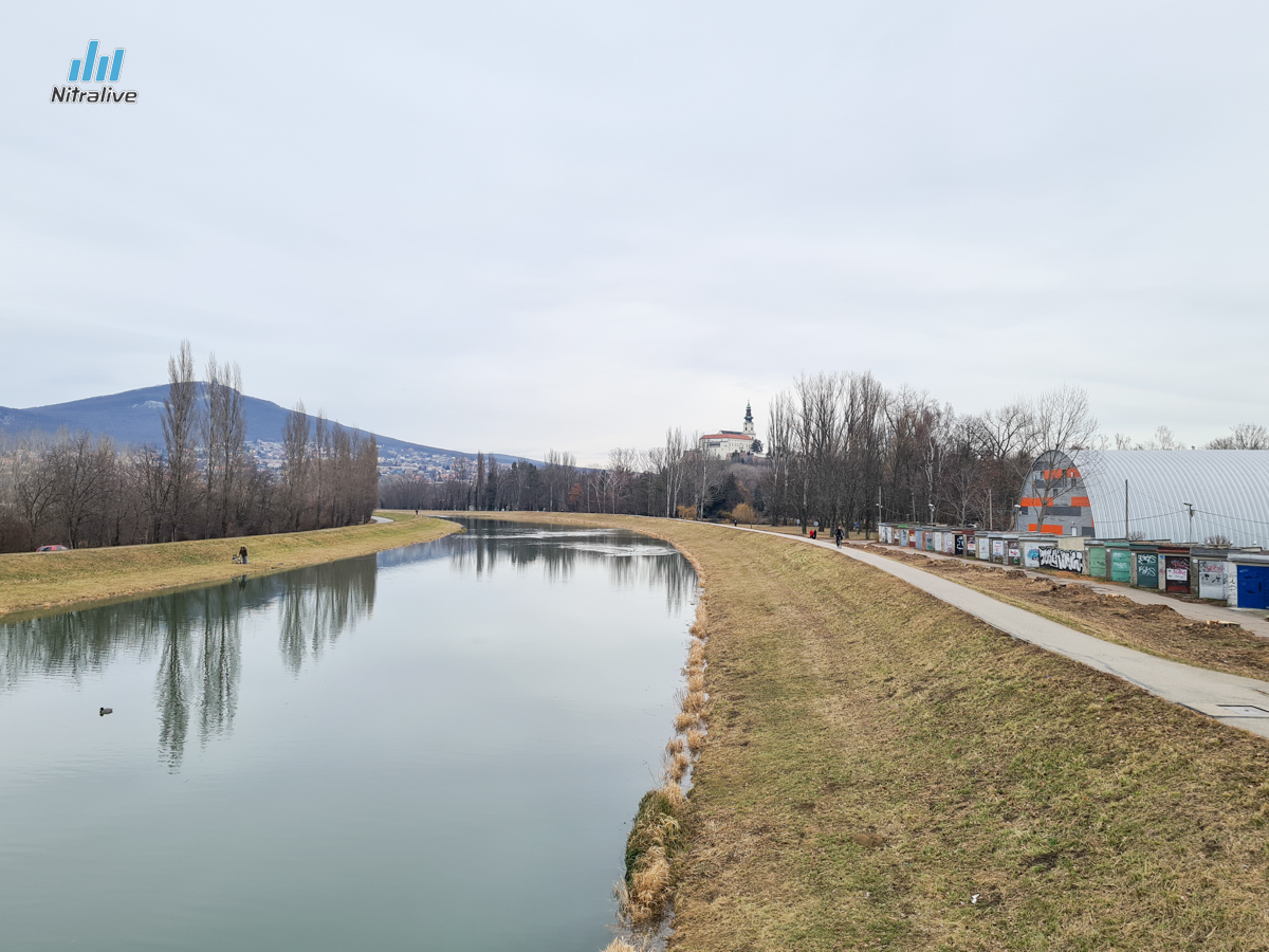 FOTO: výrub topoľov pri rieke Nitra na Sihoti