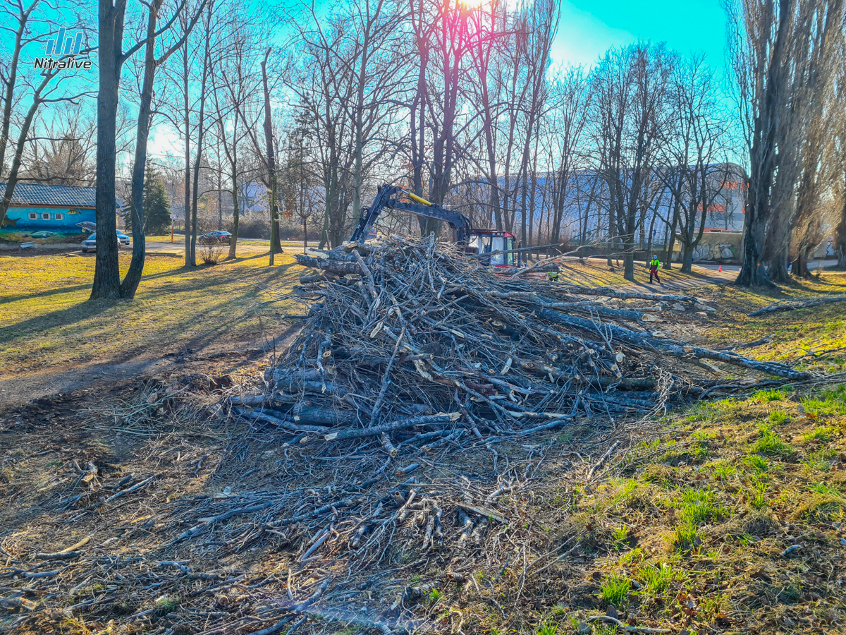 FOTO: výrub topoľov pri rieke Nitra na Sihoti