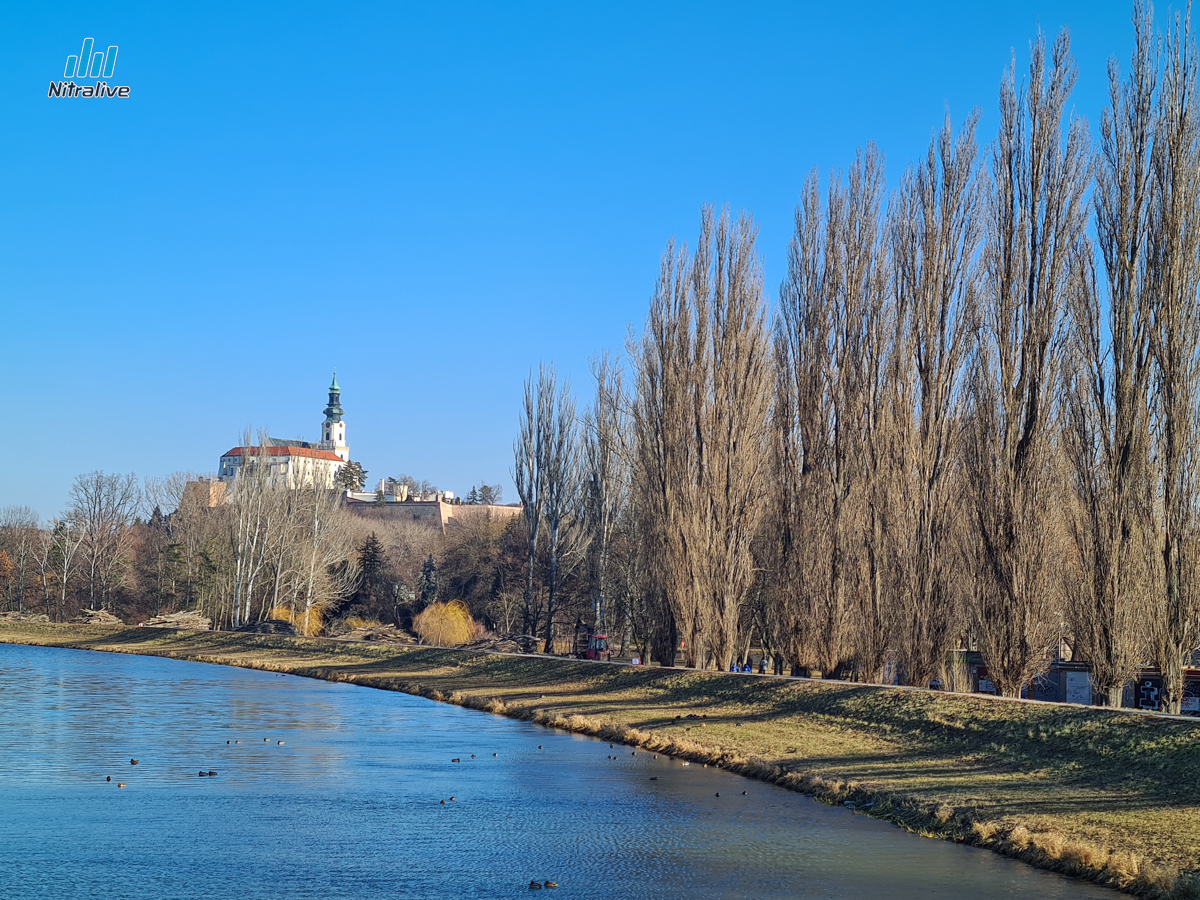 FOTO: výrub topoľov pri rieke Nitra na Sihoti