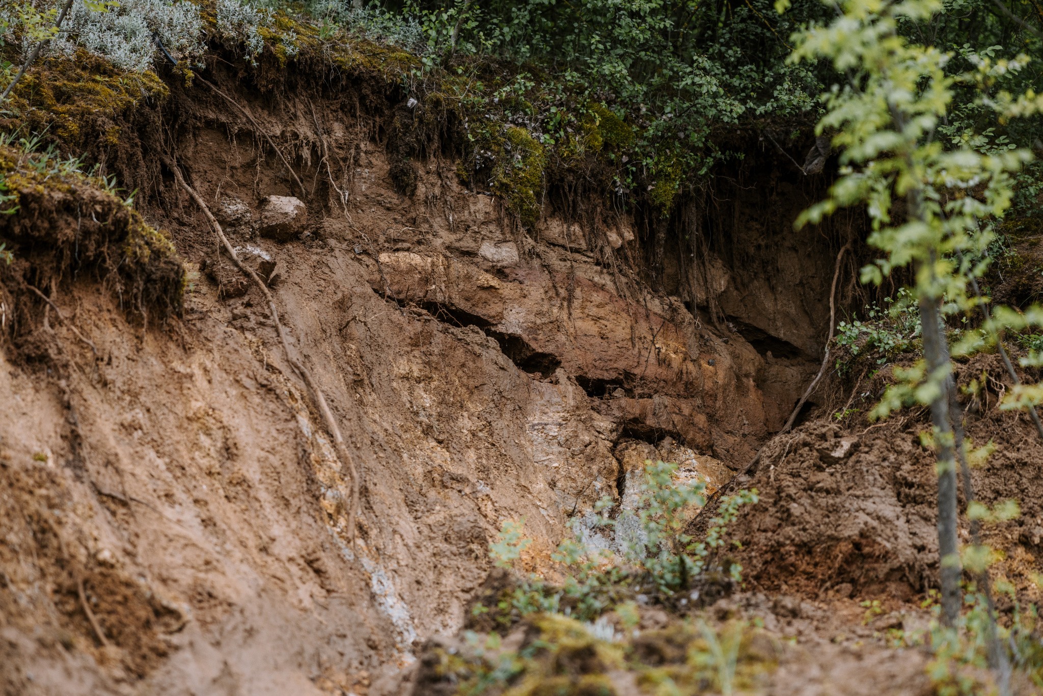 Zosuv pôdy Hviezdoslavova trieda, Nitra