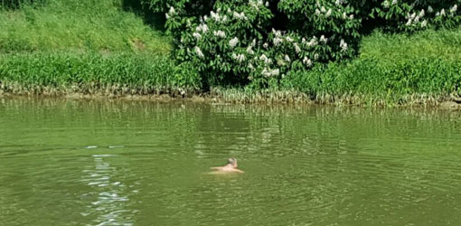 Neznámy pánko sa rozhodol zaplávať si v rieke Nitra v lokalite pod Kalváriou