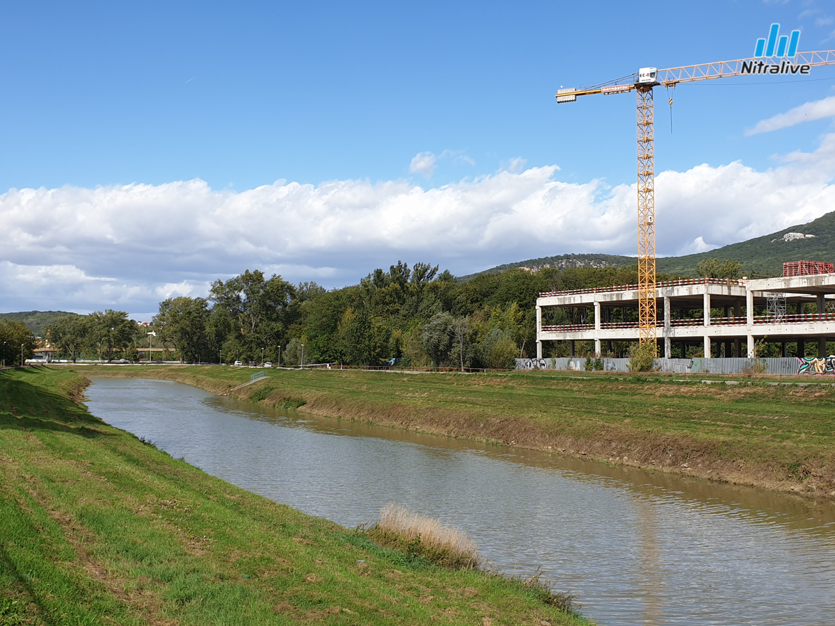 Vietor stromy Nitra