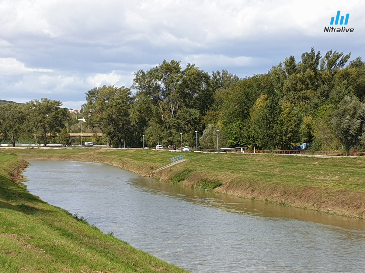 Vietor stromy Nitra