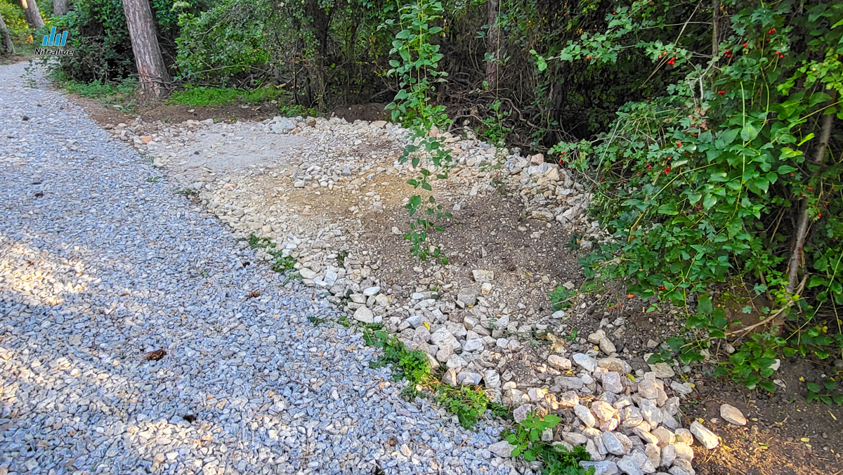 Revitalizácia Boriny Nitra