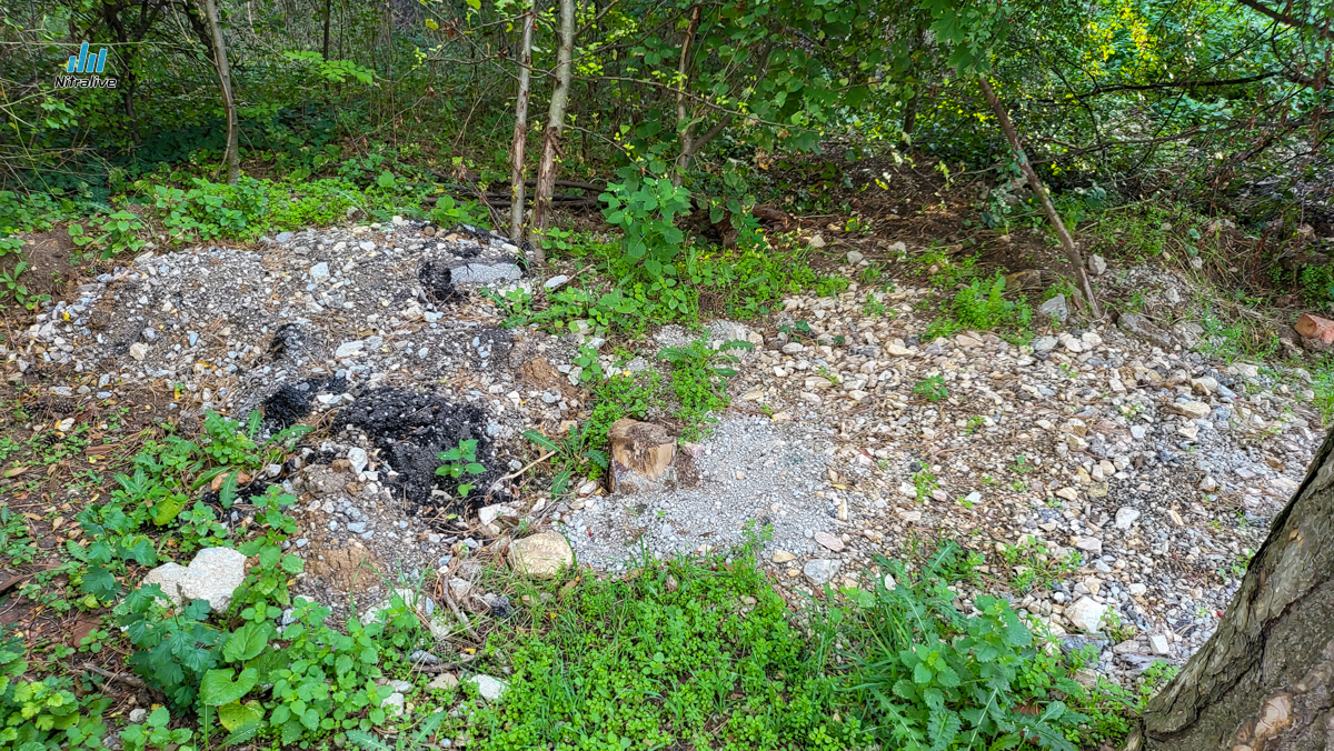 Revitalizácia Boriny Nitra