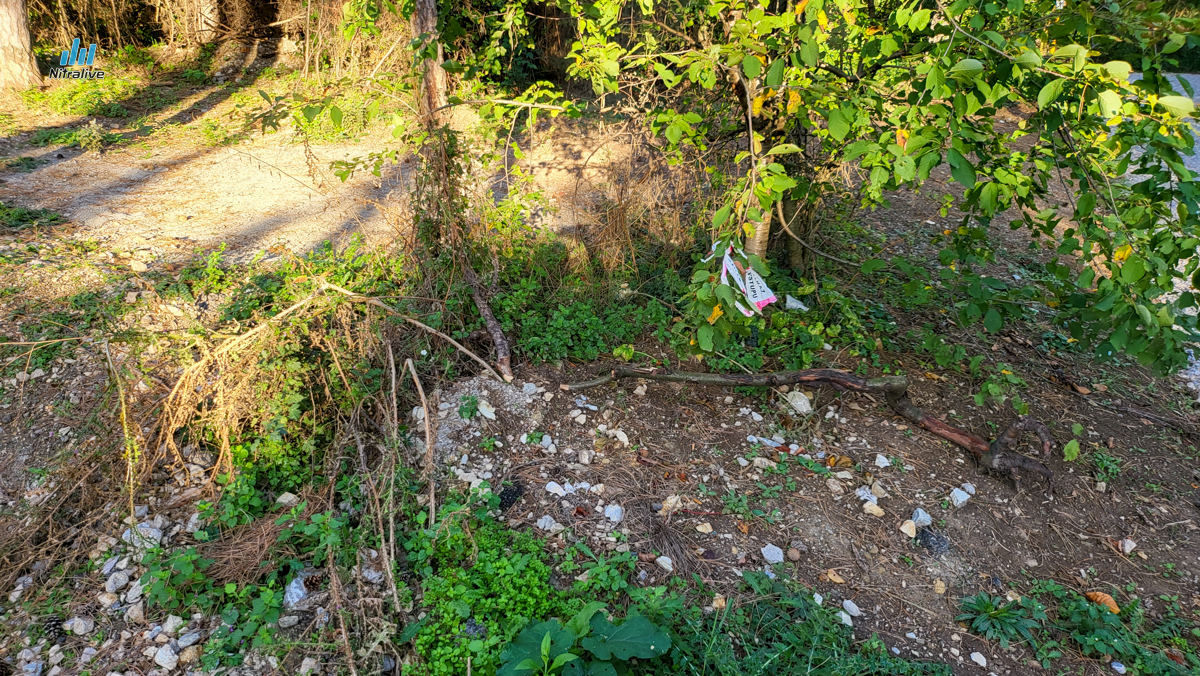 Revitalizácia Boriny Nitra