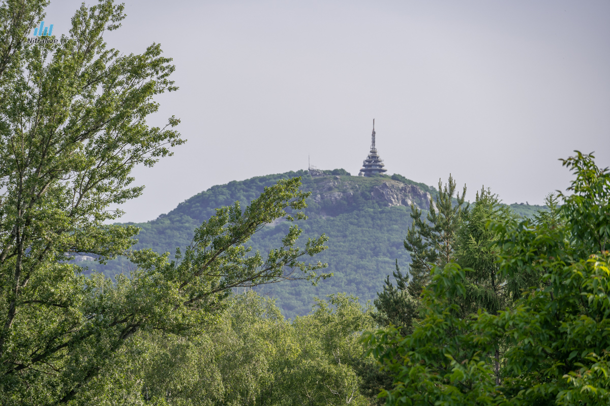 Brezový háj Nitra, revitalizácia