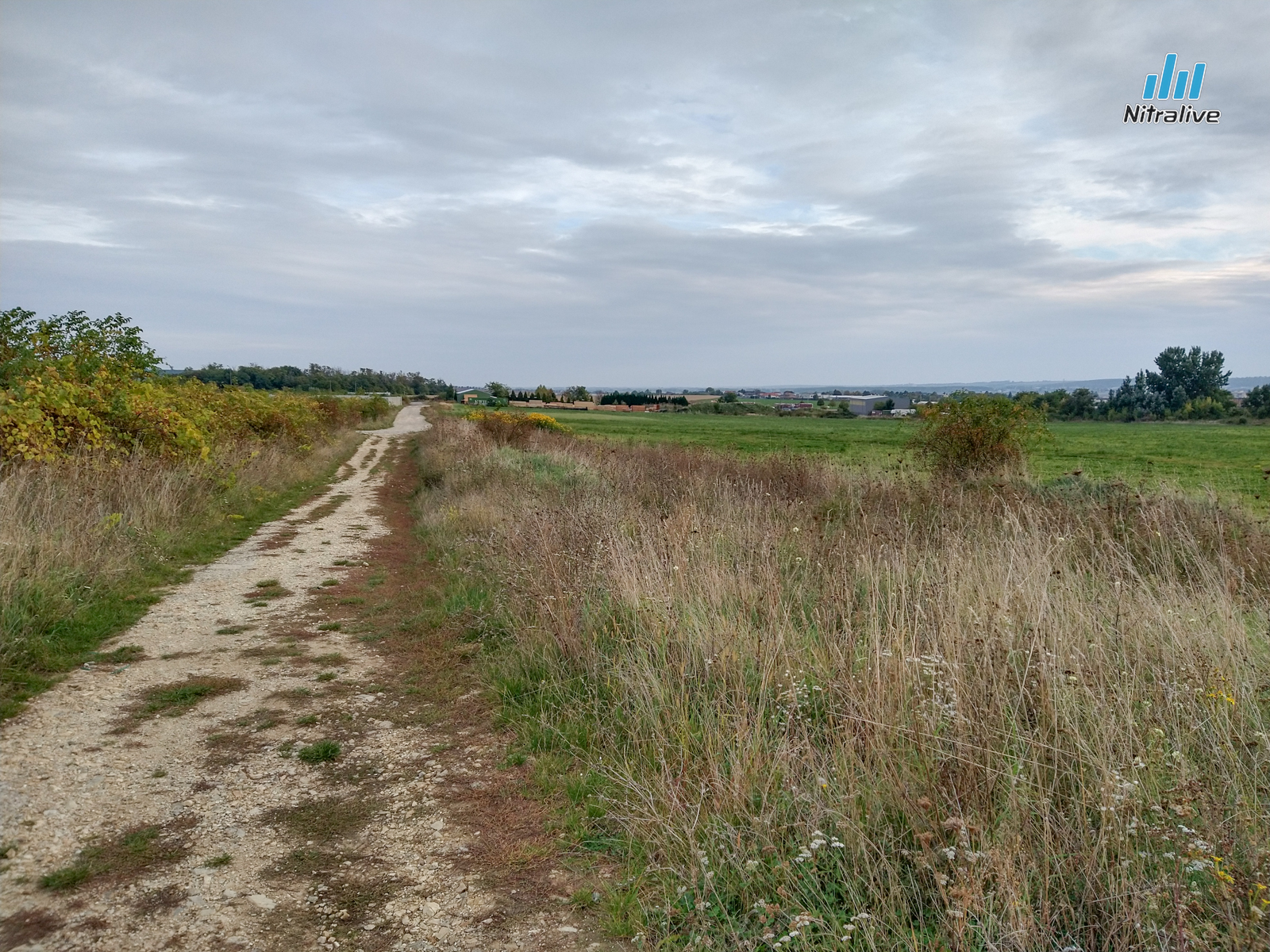 Je výstavba cestného prepojenia Jelenecká - Vašinova reálna?