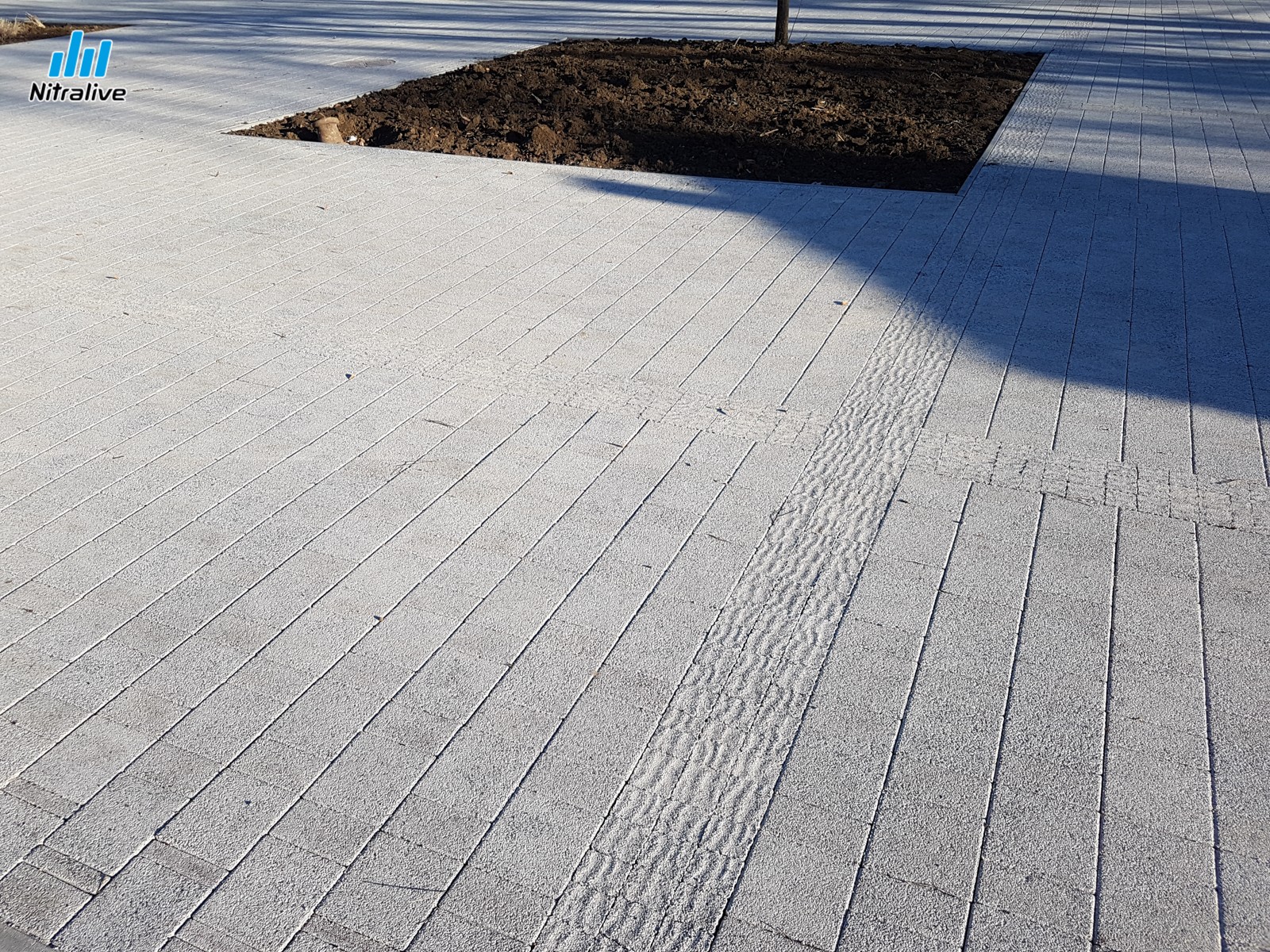 Priestor pred budovou Lipa po rekonštrukcii