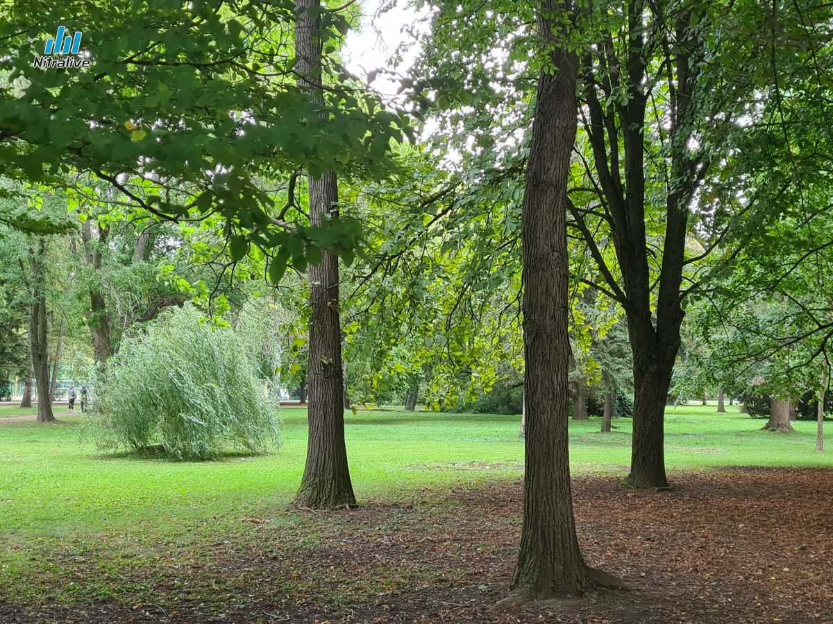 Nový park Sihoť Nitra, revitalizácia