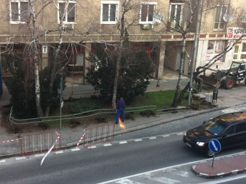 Predmostie revitalizácia