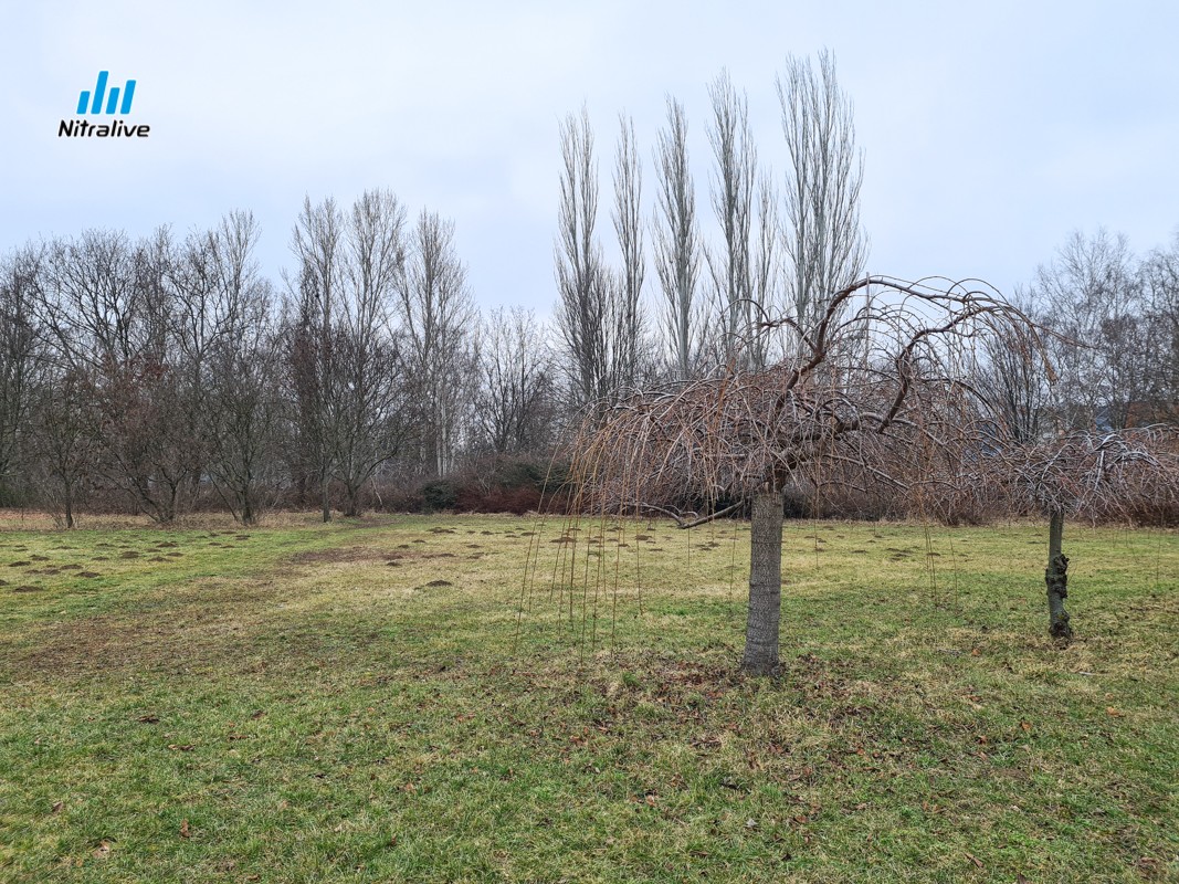 Medzi ŠKD Bernolák a Aulou SPU revitalizujú priestor